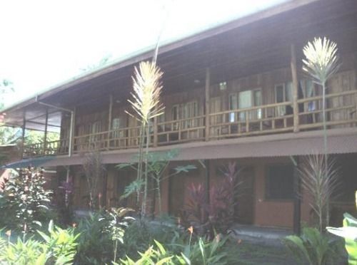Miss Junies Lodge Tortuguero Eksteriør bilde