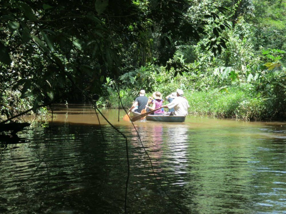 Miss Junies Lodge Tortuguero Eksteriør bilde