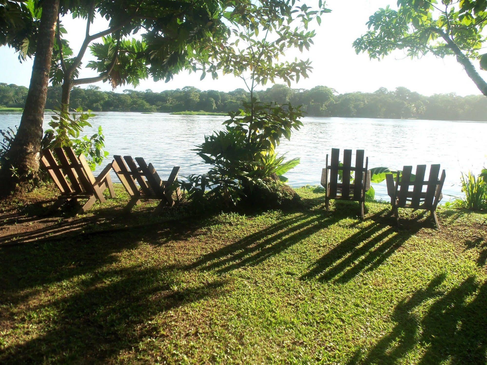 Miss Junies Lodge Tortuguero Eksteriør bilde