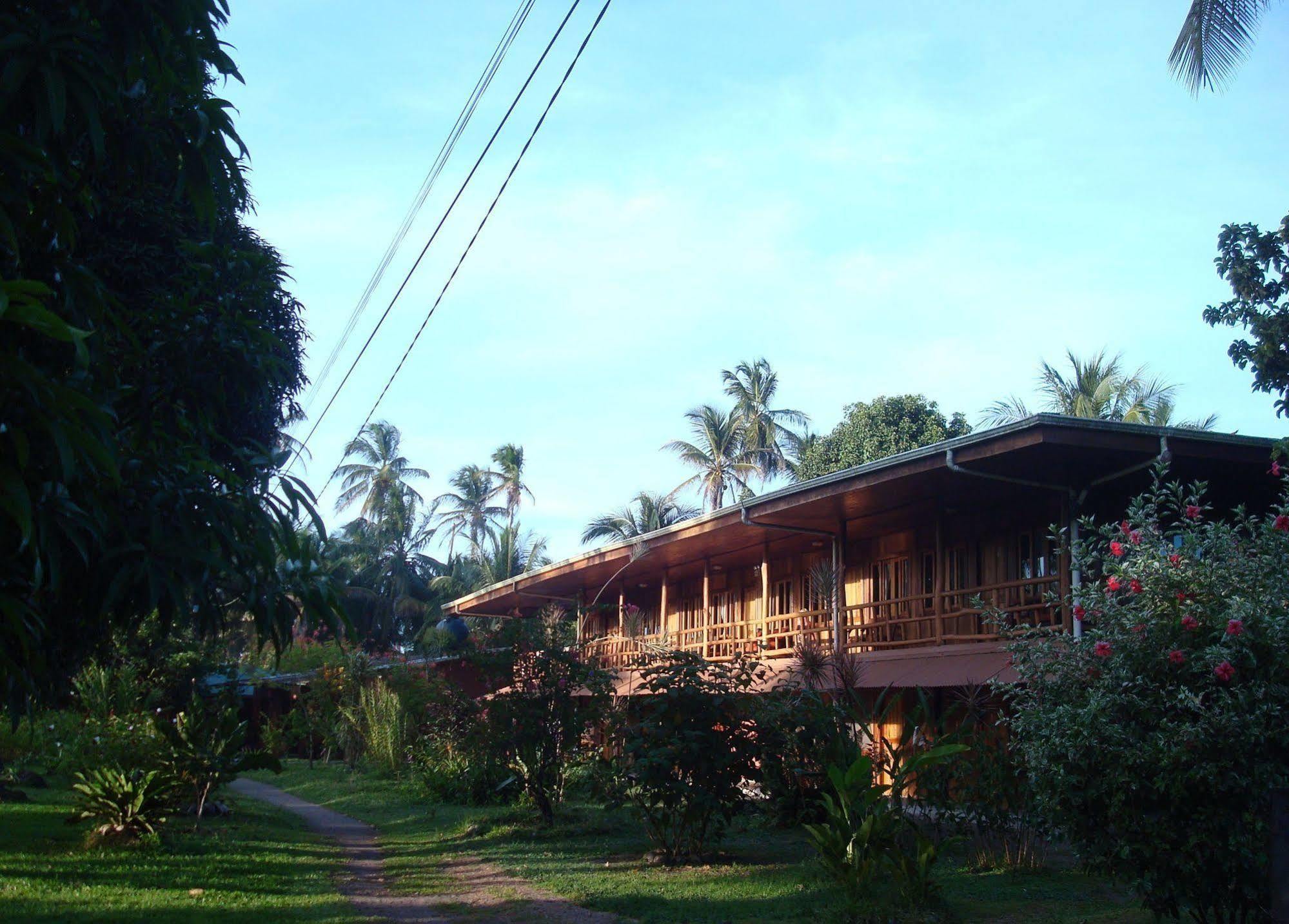 Miss Junies Lodge Tortuguero Eksteriør bilde