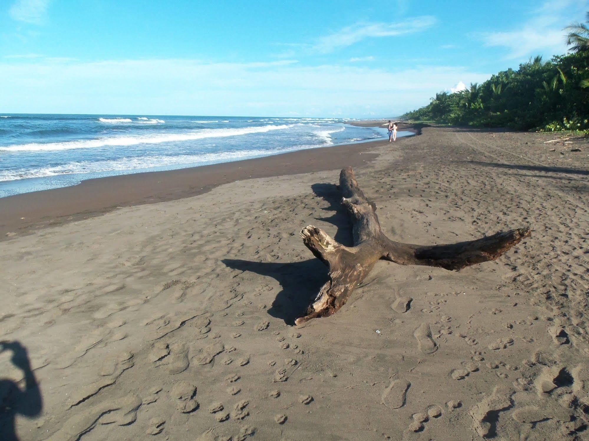 Miss Junies Lodge Tortuguero Eksteriør bilde